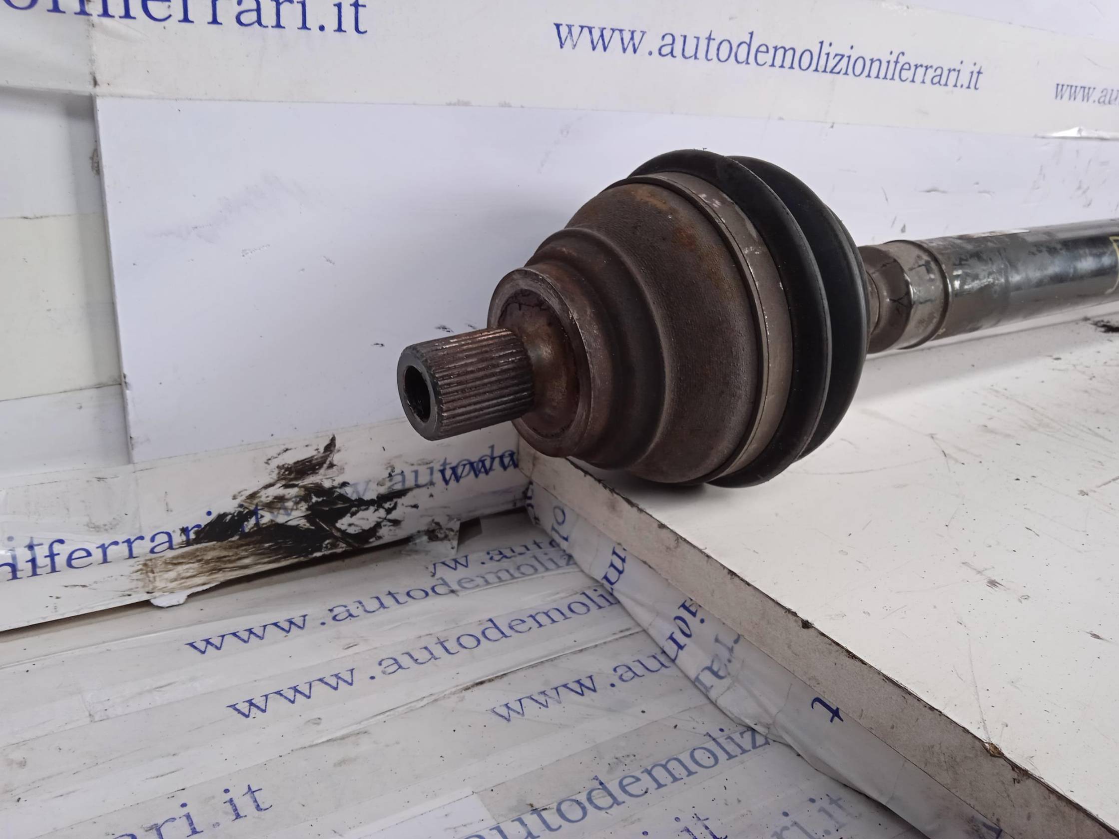 Semialbero ant. compl. dx.